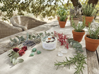 Vela primavera rodeada de plantas y piedras